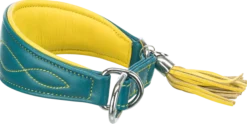 Collier Active Confort pour lévrier avec stop traction - Pétrole / jaune- XS-S