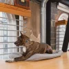 Collier anti aboiement automatique Petsafe PBC45-13466