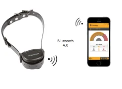 Collier anti-aboiement Canicalm SMART