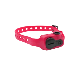 Collier anti-aboiement compact, Dogtra iQ Rose