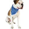 Collier bandanas 15 mm Bleu