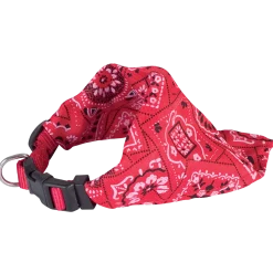 Collier bandanas 15 mm Rouge
