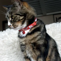Collier chat Ladycat avec grelot 30 cm x 10 mm - rouge