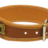 Collier cuir pour chien de sang, 35 cm