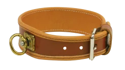Collier cuir pour chien de sang, 35 cm
