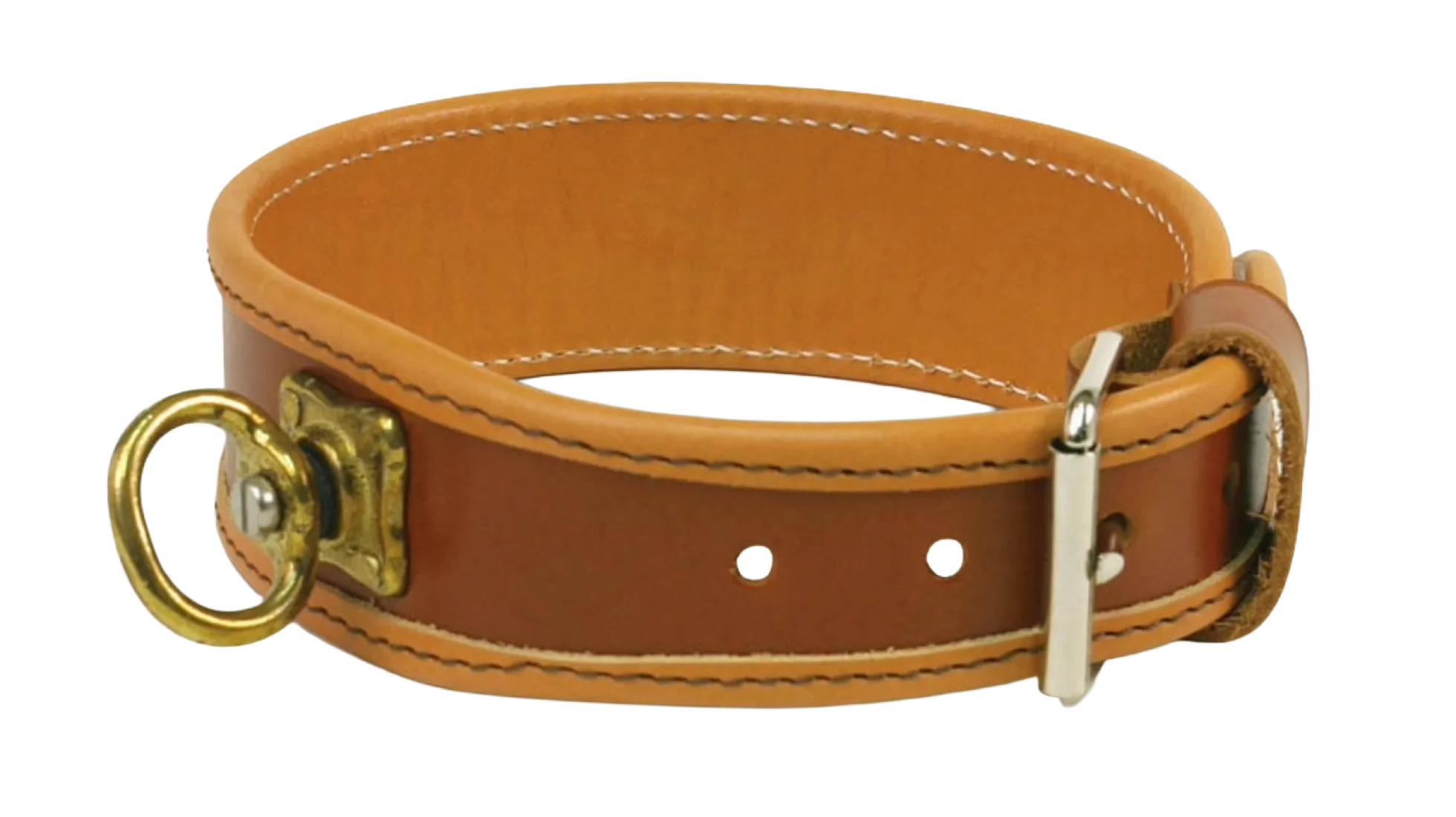Collier cuir pour chien de sang, 35 cm