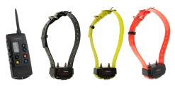 Collier d'éducation Canicom 1500 - 3 colliers + télécommande