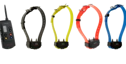 Collier d'éducation Canicom 1500 - 4 colliers + télécommande