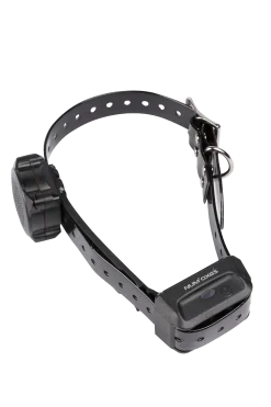 Collier d'éducation Canicom Voice 200 m