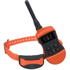 Collier à distance SportDOG SD875, portée 700 m