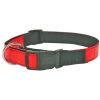 Collier fluo orange, largeur 25 mm