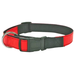 Collier fluo orange, largeur 25 mm