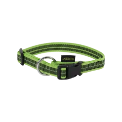 Collier Gomme 30/45 cm x 20 mm - Reflec vert