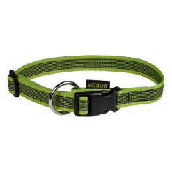 Collier Gomme 30/45 cm x 20 mm - vert
