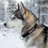 Collier NON-STOP Dogwear Polar Collar - Taille M