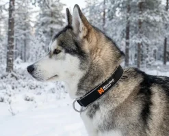 Collier NON-STOP Dogwear Polar Collar - Taille M