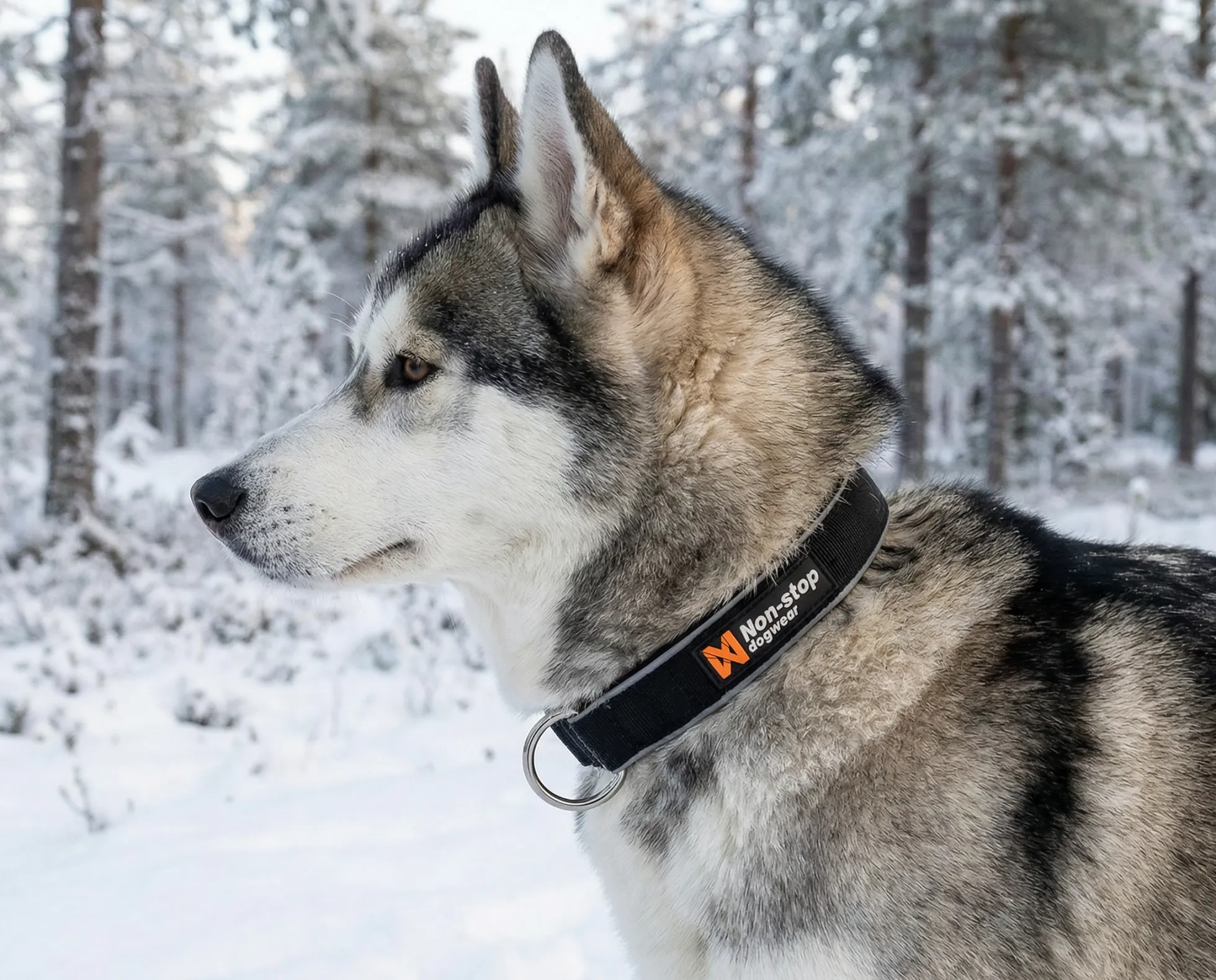 Collier NON-STOP Dogwear Polar Collar - Taille L