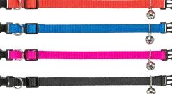 collier nylon élastique pour chat