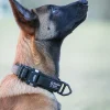 Collier nylon MODERN ICON - RIGID COLLAR Coyote - Large