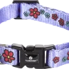 collier nylon pour chat fleur bleu