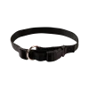 Collier nylon réglable, boucle rapide, largeur 12 mm, noir