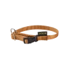 Collier nylon réglable, boucle rapide, largeur 12 mm, gold