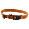Collier nylon réglable, boucle rapide, largeur 20 mm, gold