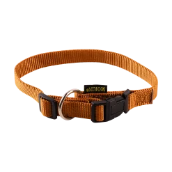 Collier nylon réglable, boucle rapide, largeur 20 mm, gold