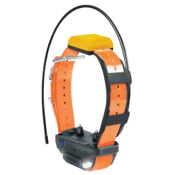 Collier supplémentaire Dogtra Pathfinder 2 GPS - Orange