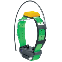 Collier supplémentaire Dogtra Pathfinder 2 GPS - Vert