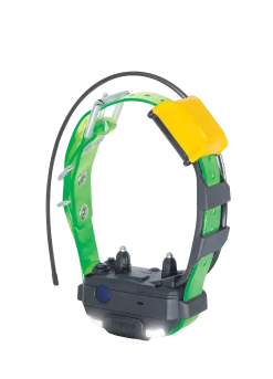 Collier supplémentaire Dogtra Pathfinder 2 MINI GPS - Vert