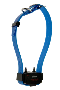 Collier supplémentaire gamme canicom Bleu