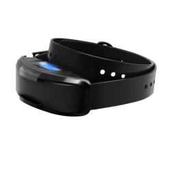 Collier supplémentaire pour Dogtra 1200X Black Edition