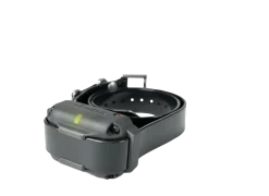 Collier supplémentaire pour Dogtra 3500 NCP