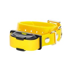 Collier supplémentaire pour Dogtra IQ Mini