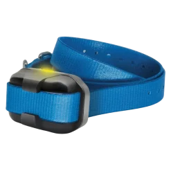 Collier supplémentaire pour Dogtra 640X