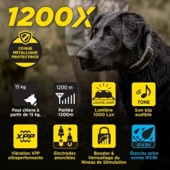 Collier supplémentaire pour Dogtra 1200X