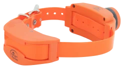 Collier supplémentaire pour SportDOG SD1875