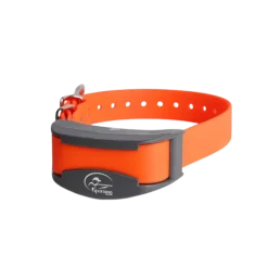 Collier supplémentaire pour SportDOG SD425 & SD825