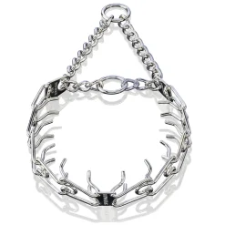 Collier Torquatus 58 cm, qualité HS