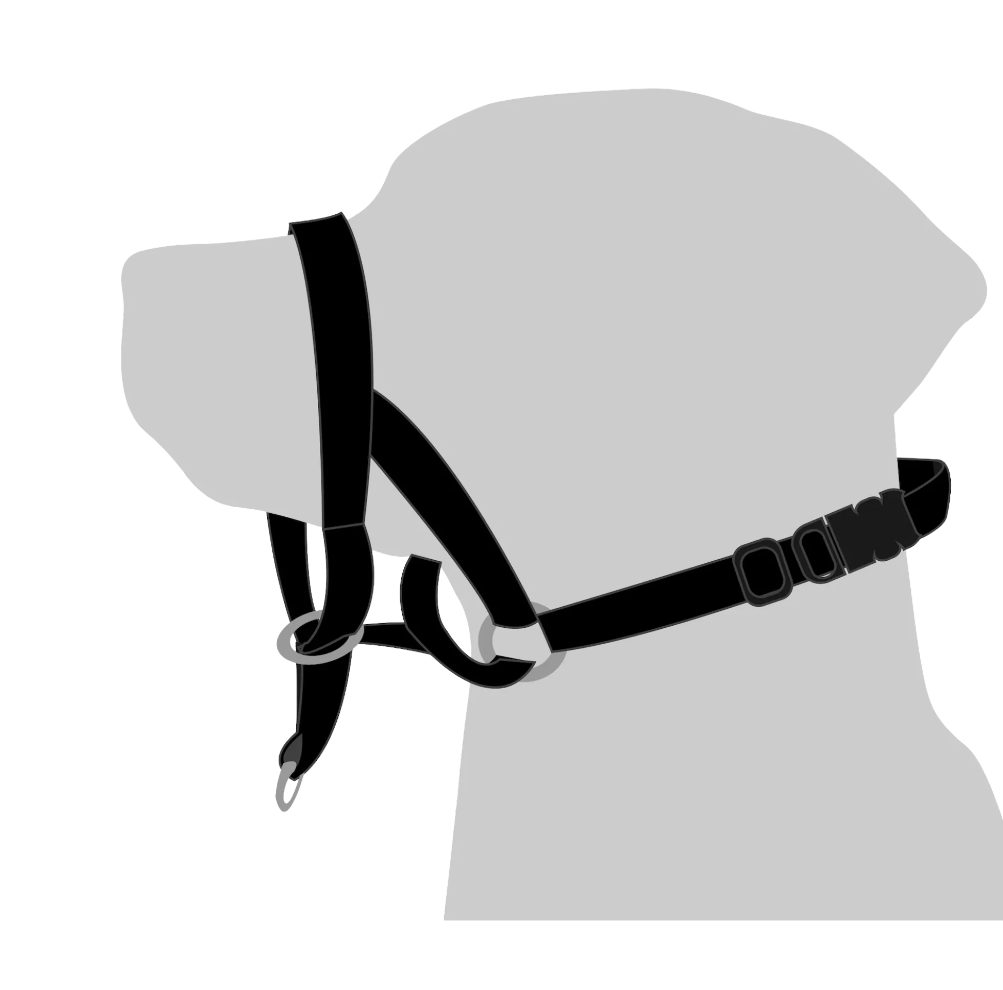 Collier type Halti Taille 4 - M