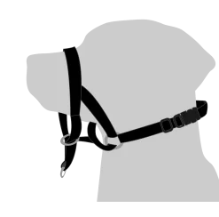 Collier type Halti Taille 2 - XS