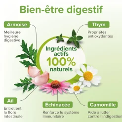 Comprimé de purge vétonature (vermifuge naturel) - Chien
