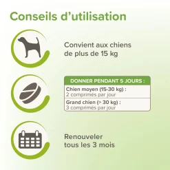 Comprimé de purge vétonature (vermifuge naturel) -GRAND Chien