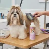 Concentré d’huile absorbable Bio Groom Vita Oil, 473 ml
