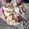 Copeaux Premium Larges - dépoussiérés