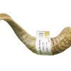Corne de mouton S/M
