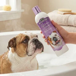 Crème de rinçage Bio Groom Natural Oatmeal pour chien et chat, 355 ml