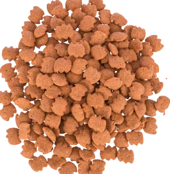 Denta fun dentinos, 50 g