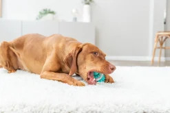 Denta Fun Rugby Ball